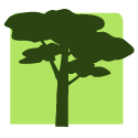 Tree icon